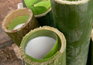 Menengok bambu buluh yang telah diisi dengan beras ketan sebagai bahan utama penganan lemang